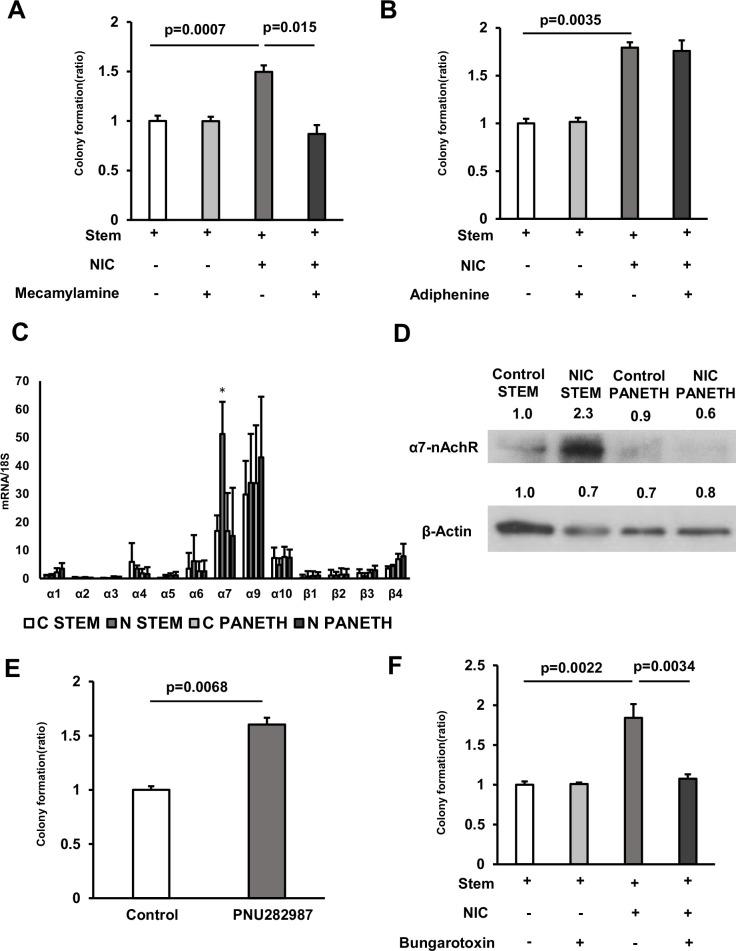 https://cdn.ncbi.nlm.nih.gov/pmc/blobs/8f0d/11698494/95ac628ff8c1/elife-95267-fig3.jpg