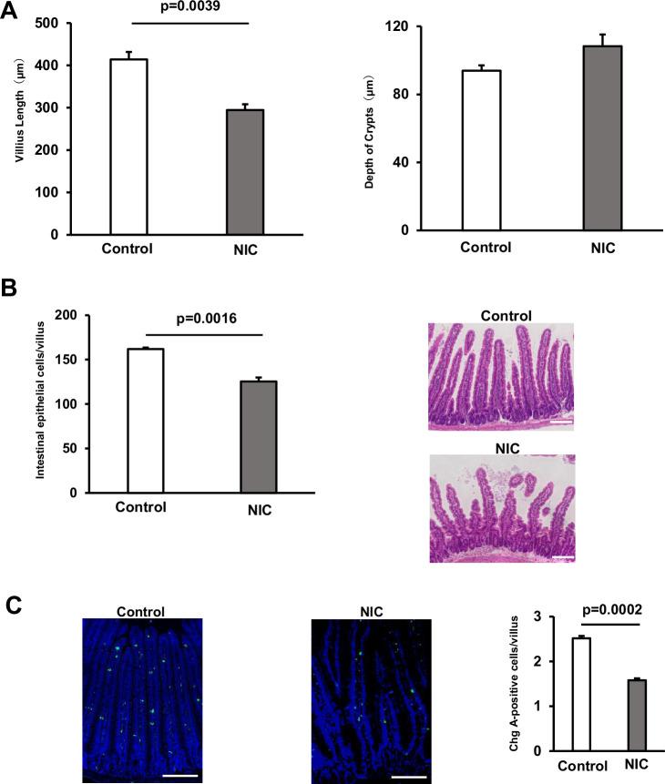 https://cdn.ncbi.nlm.nih.gov/pmc/blobs/8f0d/11698494/9a8a68165e5e/elife-95267-fig1-figsupp1.jpg
