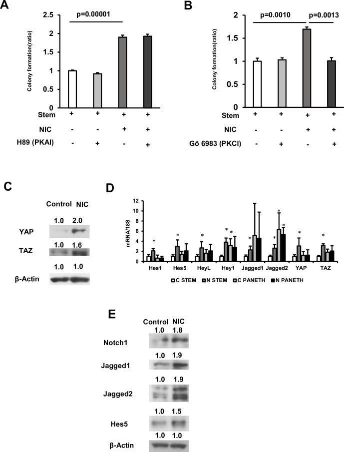https://cdn.ncbi.nlm.nih.gov/pmc/blobs/8f0d/11698494/cc5a9a881cdf/elife-95267-fig4.jpg