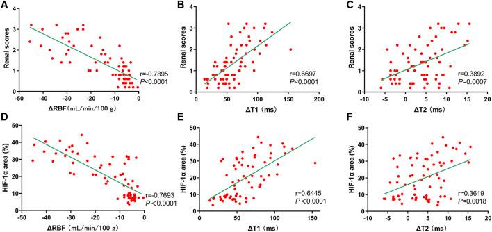 https://cdn.ncbi.nlm.nih.gov/pmc/blobs/8f0d/9242620/bc4ff5f8c2d0/fphar-13-905547-g012.jpg