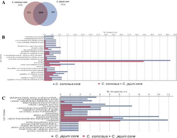 https://cdn.ncbi.nlm.nih.gov/pmc/blobs/8f0f/3765806/b1b57b18fafa/1471-2164-14-585-6.jpg