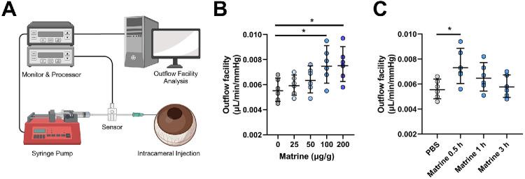 https://cdn.ncbi.nlm.nih.gov/pmc/blobs/8f10/12347223/0574f56b126a/iovs-66-11-18-f002.jpg