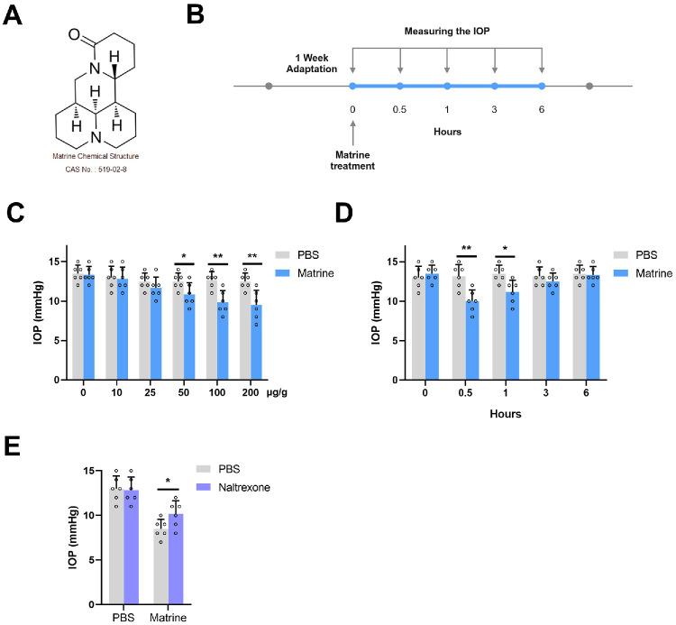 https://cdn.ncbi.nlm.nih.gov/pmc/blobs/8f10/12347223/e96a65aaa081/iovs-66-11-18-f001.jpg