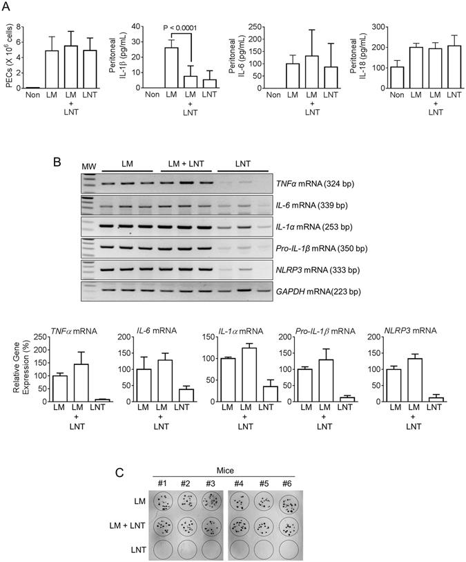 https://cdn.ncbi.nlm.nih.gov/pmc/blobs/8f12/5431005/5db2d44cba68/41598_2017_1462_Fig5_HTML.jpg