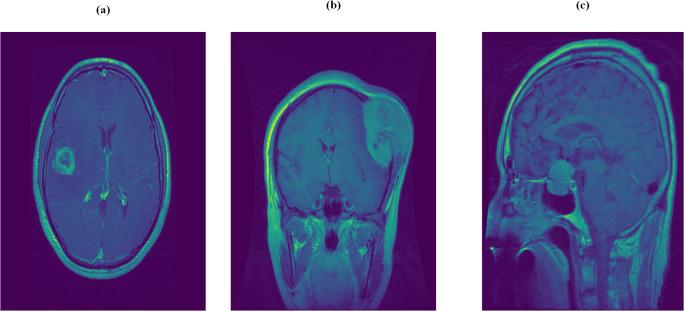 https://cdn.ncbi.nlm.nih.gov/pmc/blobs/8f15/11623201/e72b181bdde0/peerj-cs-10-2425-g001.jpg