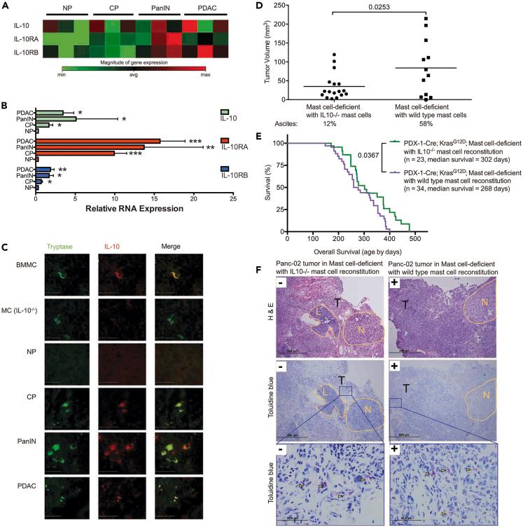 https://cdn.ncbi.nlm.nih.gov/pmc/blobs/8f17/11514315/e3984d4f8f1b/gr3.jpg