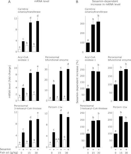 https://cdn.ncbi.nlm.nih.gov/pmc/blobs/8f17/3491251/3f4df679e67b/jcbn12-38f02.jpg