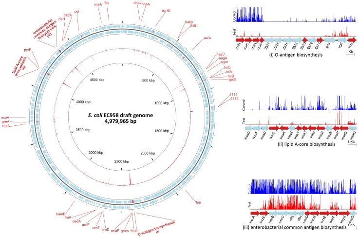 https://cdn.ncbi.nlm.nih.gov/pmc/blobs/8f17/3789825/dcdba5925df7/pgen.1003834.g004.jpg