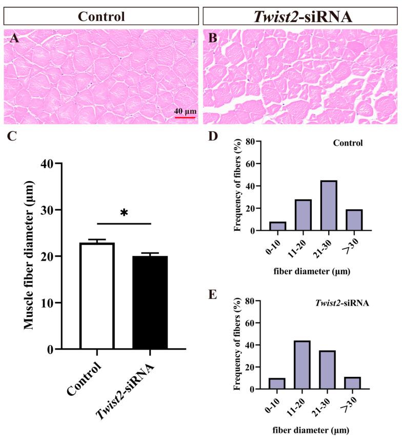 https://cdn.ncbi.nlm.nih.gov/pmc/blobs/8f18/12024327/19f3e4c065b8/animals-15-01177-g003.jpg