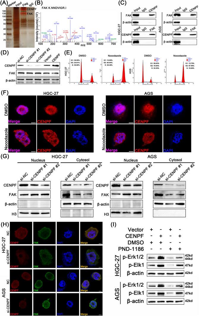 https://cdn.ncbi.nlm.nih.gov/pmc/blobs/8f1c/10259669/1908a854741c/CAC2-43-685-g006.jpg