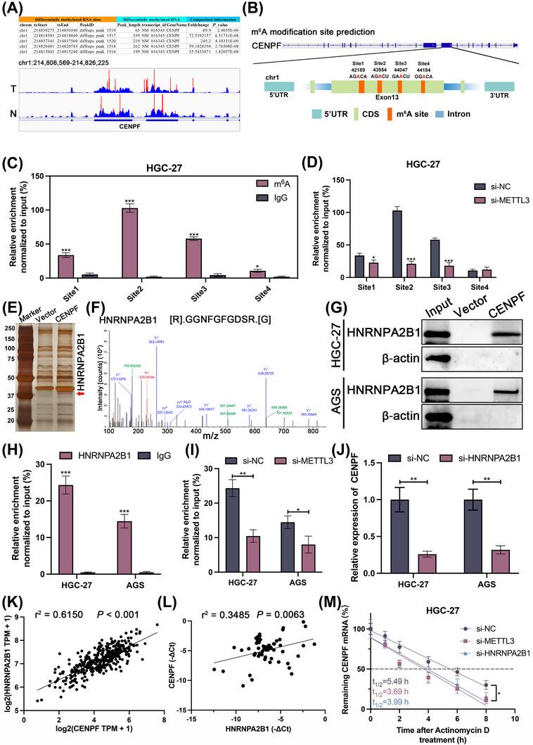 https://cdn.ncbi.nlm.nih.gov/pmc/blobs/8f1c/10259669/21db54ff241c/CAC2-43-685-g001.jpg