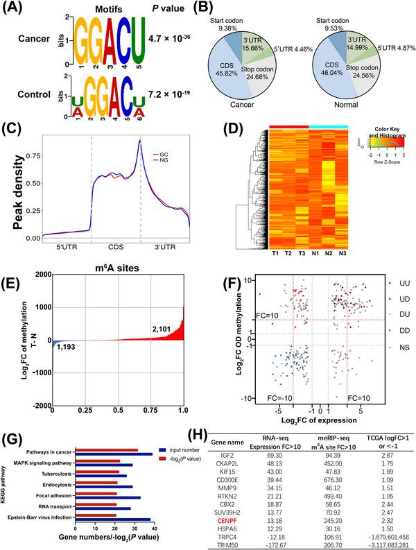 https://cdn.ncbi.nlm.nih.gov/pmc/blobs/8f1c/10259669/ab7580ade7c9/CAC2-43-685-g004.jpg