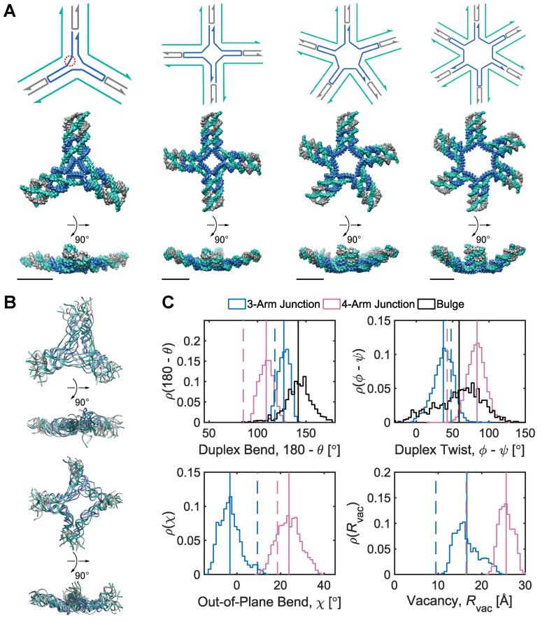 https://cdn.ncbi.nlm.nih.gov/pmc/blobs/8f1c/5499760/267dcba5fd15/gkx378fig2.jpg