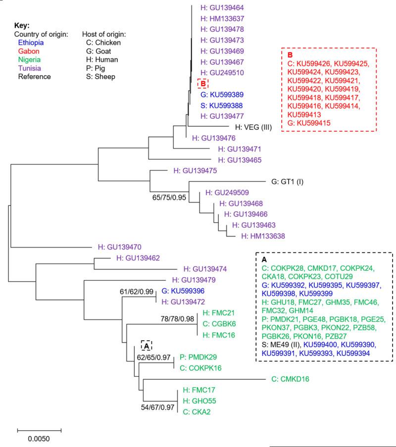 https://cdn.ncbi.nlm.nih.gov/pmc/blobs/8f1d/8202946/0eacf75cb840/pntd.0009458.g001.jpg