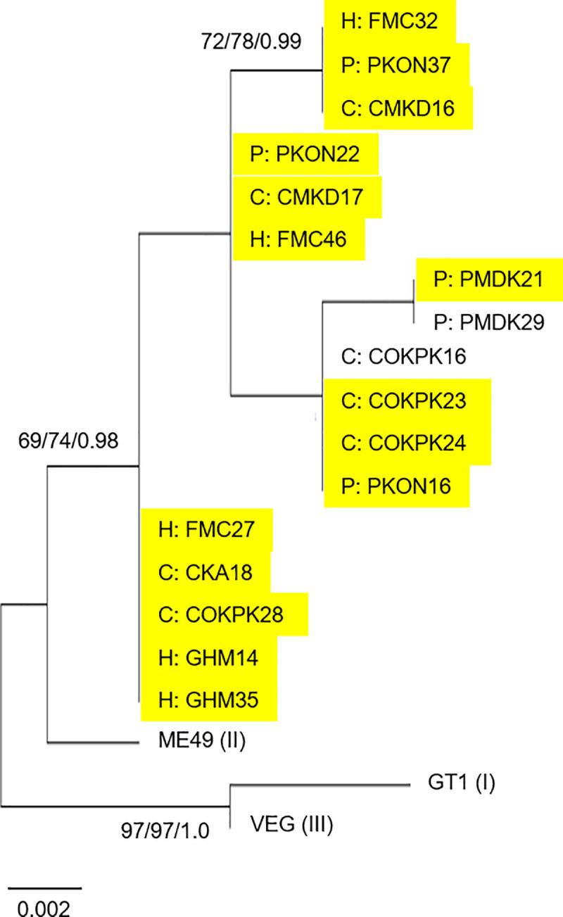 https://cdn.ncbi.nlm.nih.gov/pmc/blobs/8f1d/8202946/0f4e0d1fdbed/pntd.0009458.g002.jpg