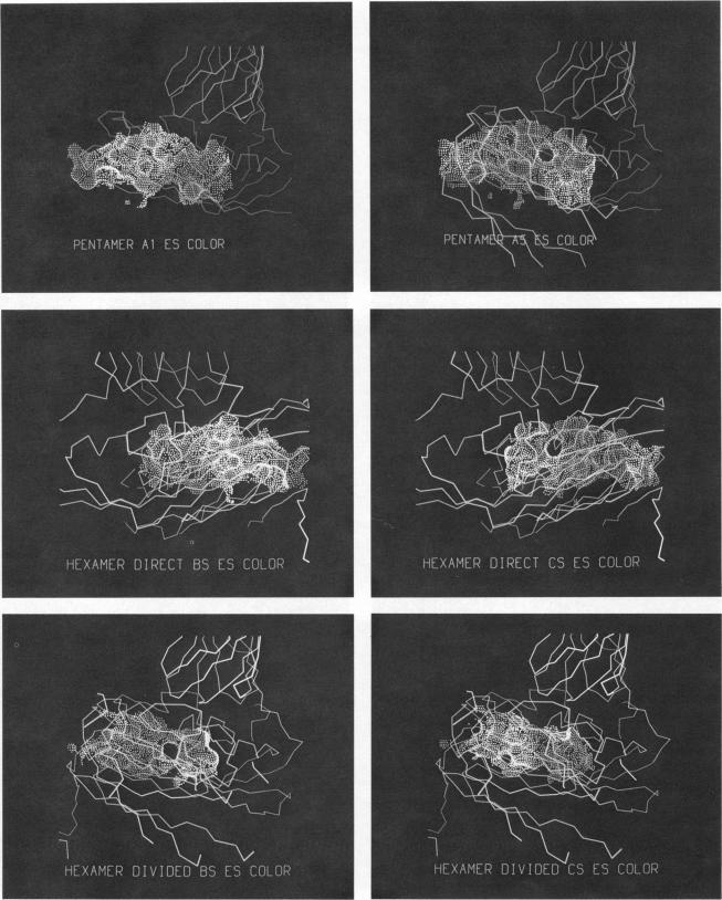 https://cdn.ncbi.nlm.nih.gov/pmc/blobs/8f20/1329621/727a8d17ddef/biophysj00184-0205-a.jpg