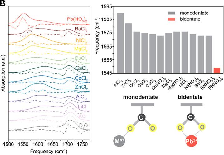 https://cdn.ncbi.nlm.nih.gov/pmc/blobs/8f22/10786305/309a334f0eba/pnas.2313616121fig04.jpg