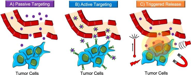https://cdn.ncbi.nlm.nih.gov/pmc/blobs/8f22/6481740/2ab55ef20449/ABPID9-000003-011502_1-g002.jpg
