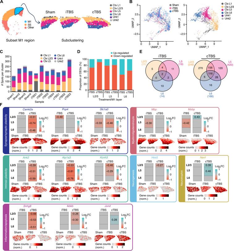 https://cdn.ncbi.nlm.nih.gov/pmc/blobs/8f24/11708880/34678e16f2d3/sciadv.ado6705-f6.jpg