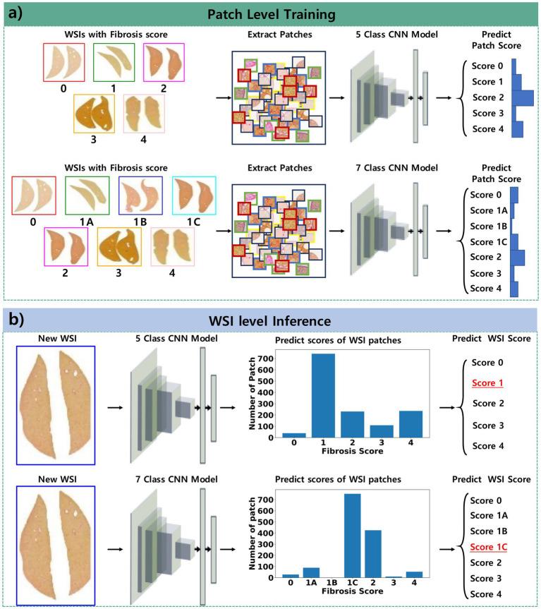 https://cdn.ncbi.nlm.nih.gov/pmc/blobs/8f24/12271101/33547ca78f07/fmed-12-1629036-g001.jpg