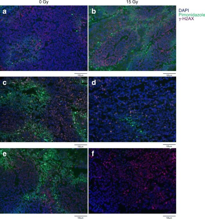 https://cdn.ncbi.nlm.nih.gov/pmc/blobs/8f24/6528330/2d3fe3b79d8d/12885_2019_5686_Fig3_HTML.jpg