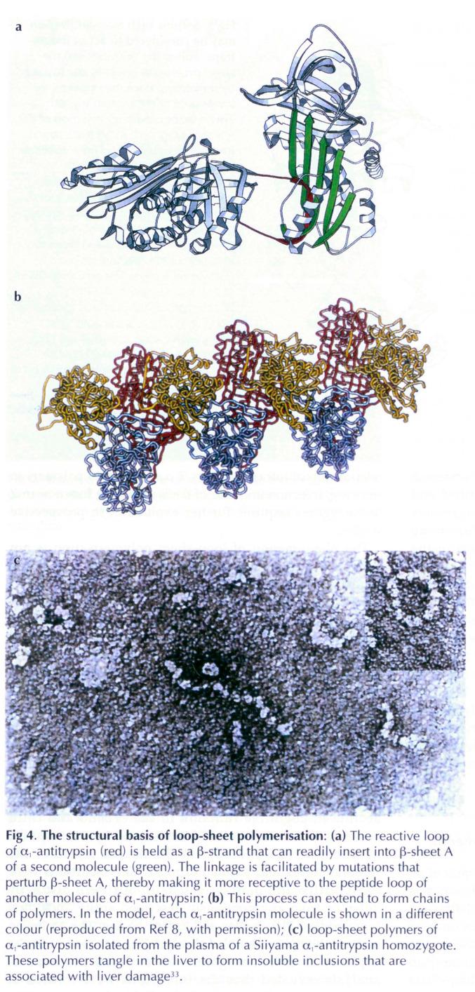 https://cdn.ncbi.nlm.nih.gov/pmc/blobs/8f24/9665556/6b9b64ebf129/jrcollphyslond146952-0078-a.jpg