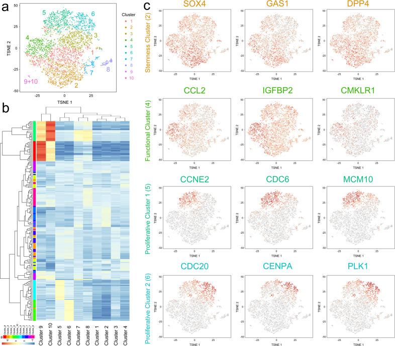 https://cdn.ncbi.nlm.nih.gov/pmc/blobs/8f25/9076886/1037c0f1a045/12276_2022_749_Fig1_HTML.jpg