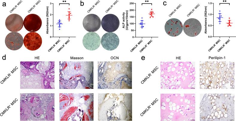 https://cdn.ncbi.nlm.nih.gov/pmc/blobs/8f25/9076886/9c128df6b53b/12276_2022_749_Fig5_HTML.jpg