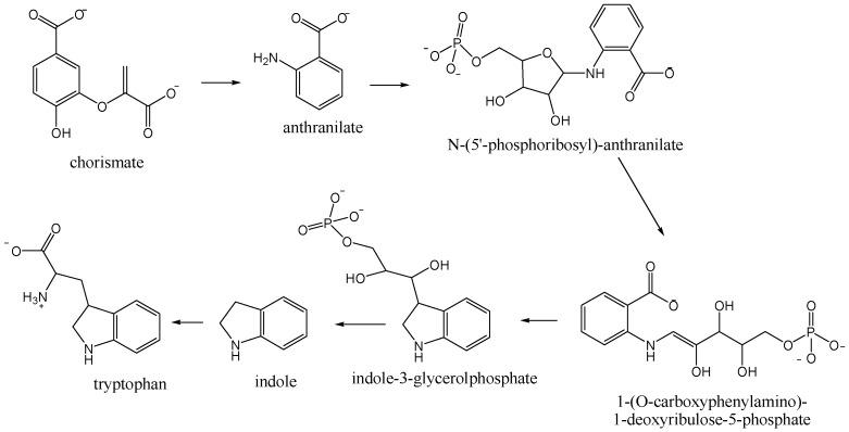 https://cdn.ncbi.nlm.nih.gov/pmc/blobs/8f27/6273672/6ced9b64cc90/molecules-21-01302-g001.jpg