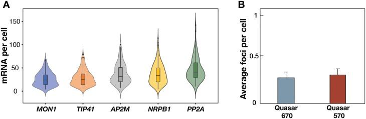 https://cdn.ncbi.nlm.nih.gov/pmc/blobs/8f29/10082928/e662f6bdf996/erac521f0002.jpg