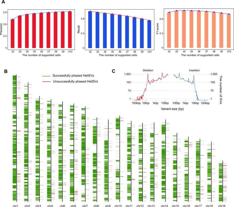 https://cdn.ncbi.nlm.nih.gov/pmc/blobs/8f29/10450174/5ab32edfaebe/gkad532fig4.jpg