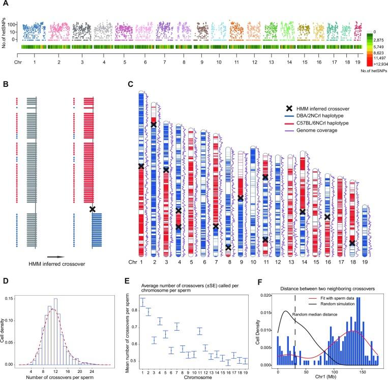 https://cdn.ncbi.nlm.nih.gov/pmc/blobs/8f29/10450174/a275ed979226/gkad532fig3.jpg