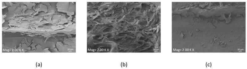 https://cdn.ncbi.nlm.nih.gov/pmc/blobs/8f2b/10222618/1dd8725eb524/materials-16-03869-g005.jpg