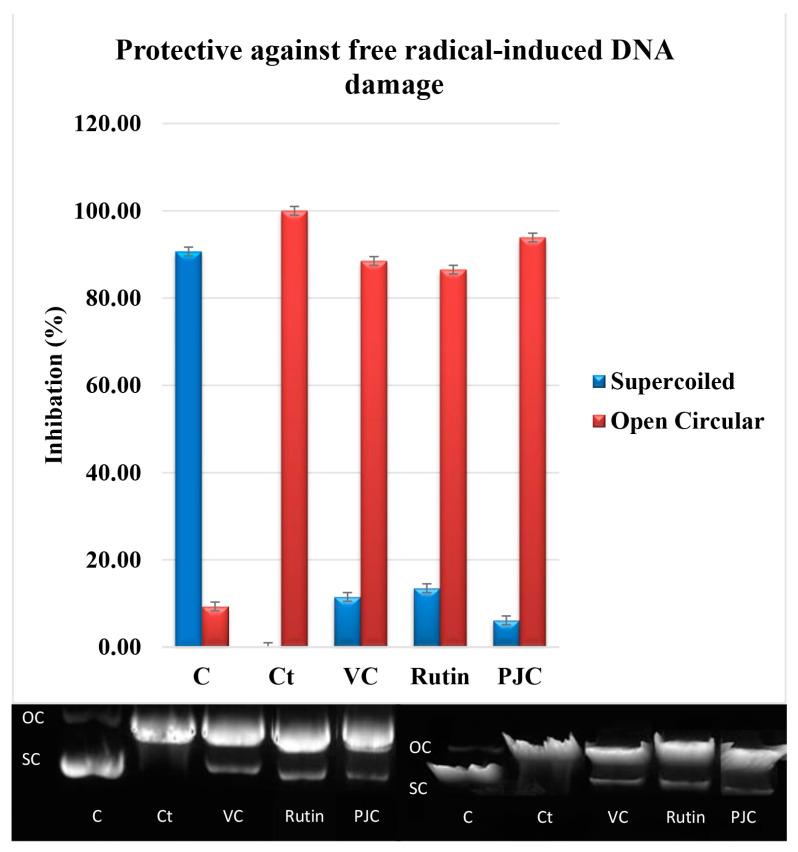 https://cdn.ncbi.nlm.nih.gov/pmc/blobs/8f2c/10301233/168234d6e0cd/nutrients-15-02709-g003.jpg