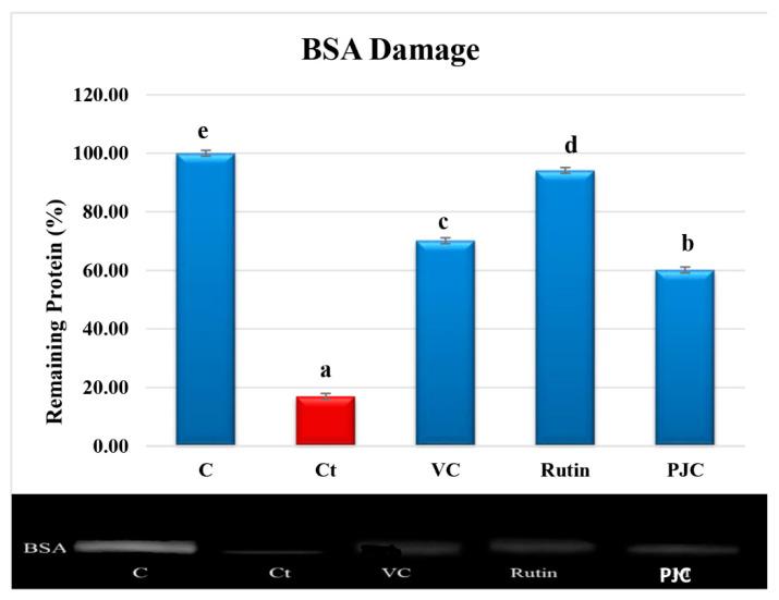 https://cdn.ncbi.nlm.nih.gov/pmc/blobs/8f2c/10301233/f062be30da8c/nutrients-15-02709-g004.jpg