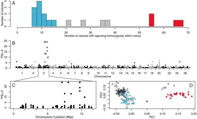 https://cdn.ncbi.nlm.nih.gov/pmc/blobs/8f2c/8609651/dcd6210b0fcc/pnas.202101427fig03.jpg