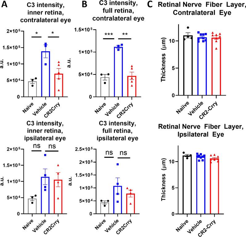 https://cdn.ncbi.nlm.nih.gov/pmc/blobs/8f2d/11022420/d838e916ffb5/12974_2024_3098_Fig8_HTML.jpg