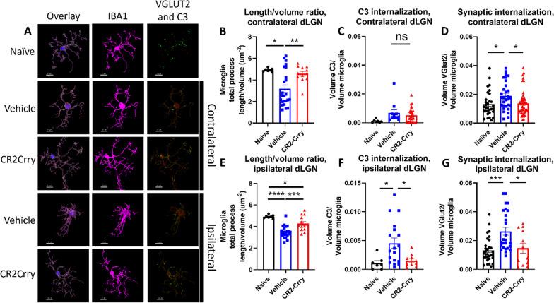 https://cdn.ncbi.nlm.nih.gov/pmc/blobs/8f2d/11022420/e04109cbff17/12974_2024_3098_Fig4_HTML.jpg