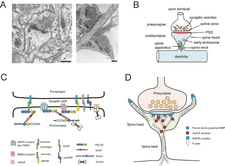 https://cdn.ncbi.nlm.nih.gov/pmc/blobs/8f2d/5713177/016309828d25/pjab-93-483-g001.jpg