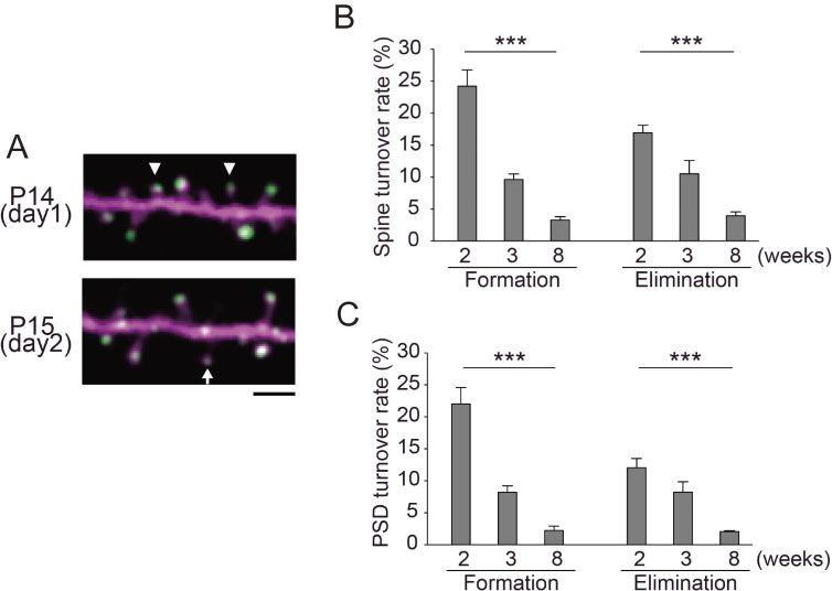 https://cdn.ncbi.nlm.nih.gov/pmc/blobs/8f2d/5713177/3f7482255621/pjab-93-483-g006.jpg