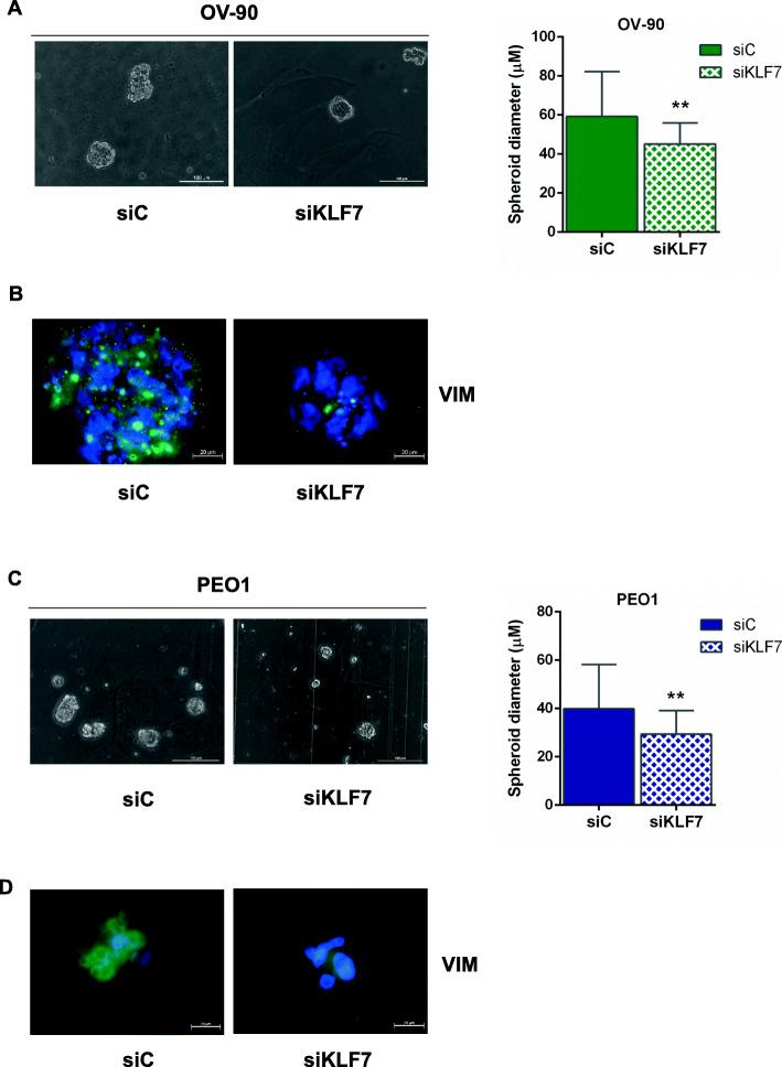 https://cdn.ncbi.nlm.nih.gov/pmc/blobs/8f2d/7702713/7debf06a3bfa/13046_2020_1775_Fig5_HTML.jpg