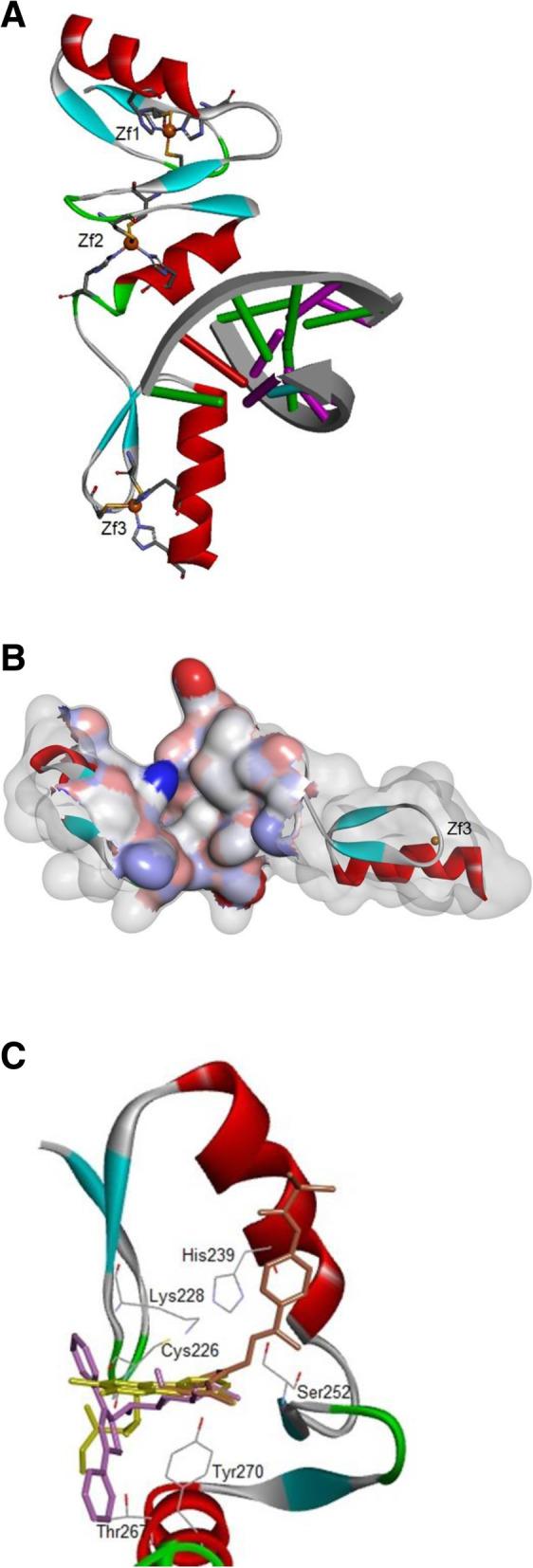 https://cdn.ncbi.nlm.nih.gov/pmc/blobs/8f2d/7702713/ea774b4ad3f3/13046_2020_1775_Fig6_HTML.jpg