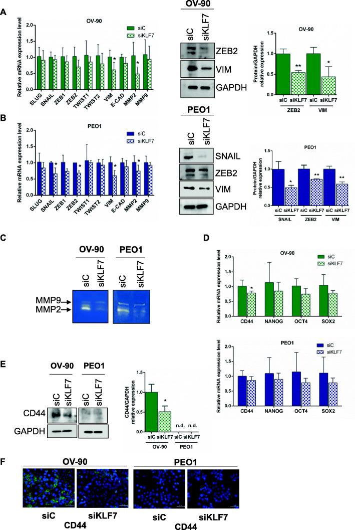 https://cdn.ncbi.nlm.nih.gov/pmc/blobs/8f2d/7702713/f19086f9de50/13046_2020_1775_Fig4_HTML.jpg