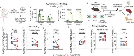 https://cdn.ncbi.nlm.nih.gov/pmc/blobs/8f2e/10104670/e451d0153efb/ADVS-10-2202720-g002.jpg