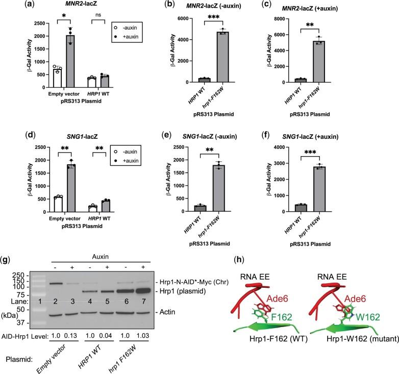 https://cdn.ncbi.nlm.nih.gov/pmc/blobs/8f2f/9836349/0e08901fe074/jkac292f8.jpg