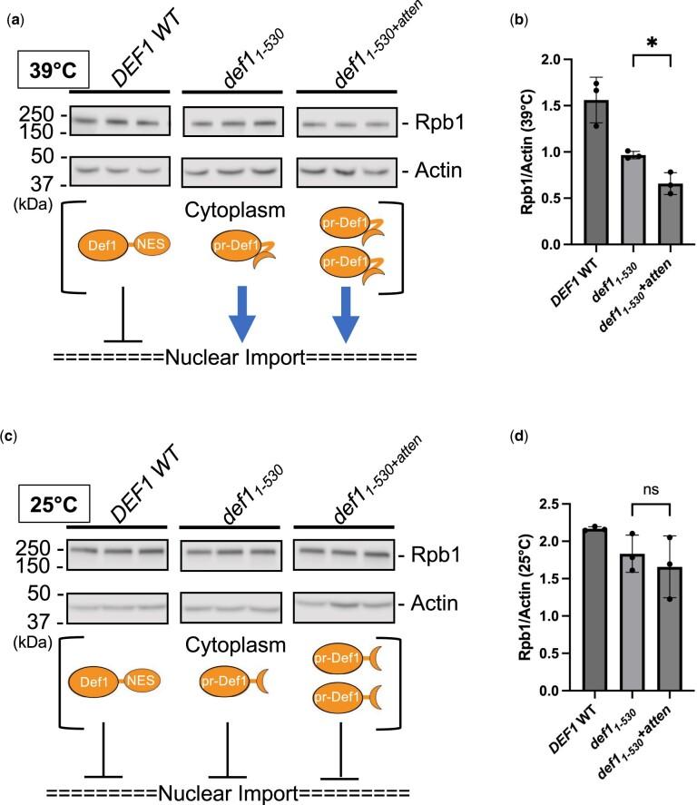 https://cdn.ncbi.nlm.nih.gov/pmc/blobs/8f2f/9836349/7143d3450215/jkac292f3.jpg