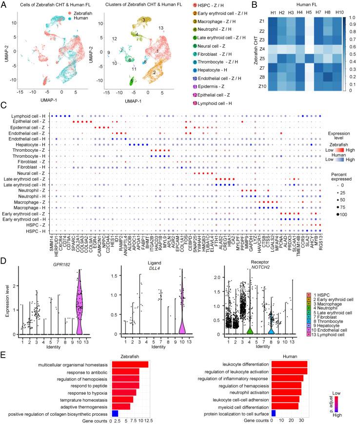 https://cdn.ncbi.nlm.nih.gov/pmc/blobs/8f30/8040670/3e2b3e314d1a/pnas.2015748118fig07.jpg