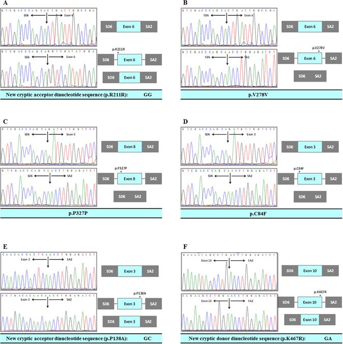 https://cdn.ncbi.nlm.nih.gov/pmc/blobs/8f32/5432510/4dc92b4dc57d/41598_2017_2074_Fig3_HTML.jpg