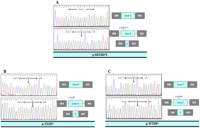 https://cdn.ncbi.nlm.nih.gov/pmc/blobs/8f32/5432510/e83510b56d73/41598_2017_2074_Fig4_HTML.jpg