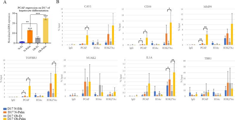 https://cdn.ncbi.nlm.nih.gov/pmc/blobs/8f32/9343434/7b7851e02124/41419_2022_5125_Fig6_HTML.jpg